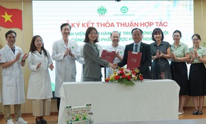 Ngọc Châu ký kết thỏa thuận hợp tác cùng Bệnh Viện Răng Hàm Mặt Trung Ương Hà Nội