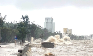 Áp thấp nhiệt đới vào Biển Đông ngày mai, có khả năng mạnh lên thành bão
