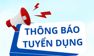 Văn phòng Hội đồng Y khoa Quốc gia tuyển dụng viên chức năm 2026