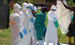 Khoảng 500 ca mắc virus Ebola được xác nhận ở Trung Phi