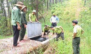 Nguy cơ cháy rừng gia tăng giữa cao điểm nắng nóng ở Huế