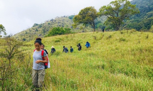 Tự ý tổ chức trekking ở Vườn quốc gia Núi Chúa - Phước Bình có thể bị xử lý