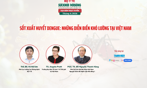 Sốt xuất huyết Dengue gia tăng với nhiều diễn biến khó lường tại Việt Nam