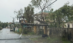 Áp thấp nhiệt đới mạnh lên, Biển Đông sắp đón cơn bão số 1