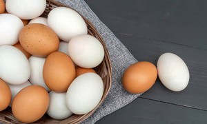 Nên cho trẻ ăn trứng gà hay trứng vịt để trẻ phát triển tốt nhất?