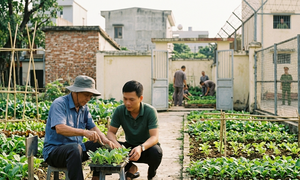 Người cải tạo không giam giữ vi phạm quy định có thể bị chuyển sang phạt tù