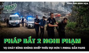 Pháp bắt 2 nghi phạm liên quan vụ cháy rừng khủng khiếp thiêu rụi hơn 1.900ha gần Paris