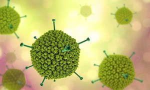 Biểu hiện khi trẻ mắc Adenovirus: Cha mẹ cần nhận biết sớm để phòng biến chứng