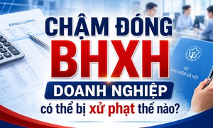 Chậm đóng BHXH, doanh nghiệp có thể bị xử phạt thế nào?
