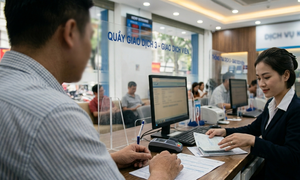 Truy tố vắng mặt cựu giám đốc chi nhánh ngân hàng trong vụ lừa đảo 15 năm trước