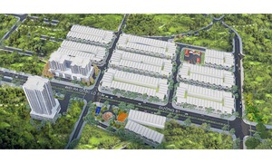 TPHCM công khai giá bán nhà ở xã hội tại Phú Mỹ, bình quân 19,8 triệu đồng/m²