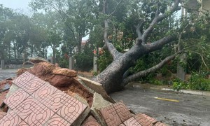 Chuyên gia nhận định về tác động của bão số 2 khi vào Biển Đông