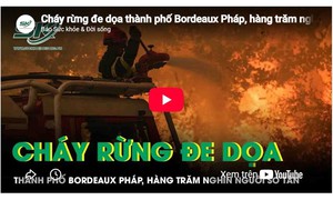 Cháy rừng đe dọa thành phố Bordeaux Pháp, hàng trăm nghìn người sơ tán khẩn cấp