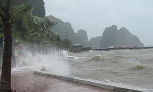 Cảnh báo khẩn: Dông, lốc xoáy và gió giật mạnh đe dọa vùng biển Quảng Ninh