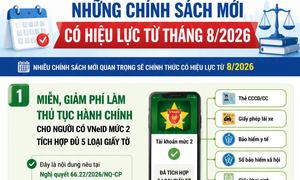 Những chính sách mới nào có hiệu lực từ tháng 8/2026?