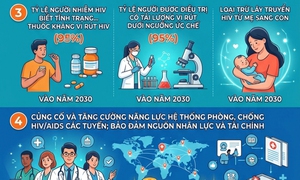 Việt Nam đặt mục tiêu chấm dứt dịch bệnh AIDS vào năm 2030
