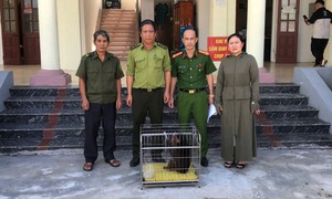 Người dân Hải Phòng giao nộp nhiều động vật quý hiếm
