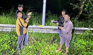 Làm rõ 6 đối tượng cắt trộm dây điện chiếu sáng tại Khu du lịch quốc gia Hồ Tuyền Lâm