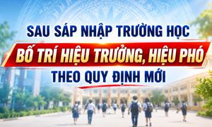 Sau sáp nhập trường học, bố trí hiệu trưởng, hiệu phó theo quy định mới