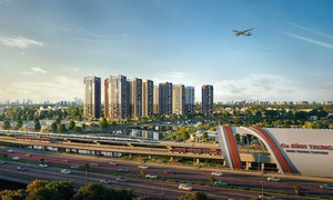Công ty Cổ phần Bluemarq Development vi phạm chứng khoán