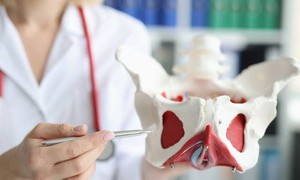 4 thói quen hàng ngày âm thầm làm suy yếu cơ sàn chậu, nhiều người vẫn mắc phải