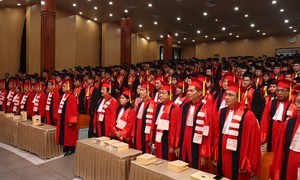 Về đề xuất đổi mới đào tạo bác sĩ nội trú, bác sĩ chuyên khoa