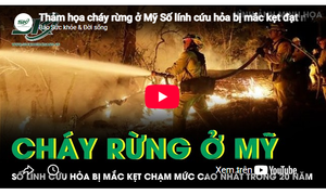 Thảm họa cháy rừng ở Mỹ, số lính cứu hỏa bị mắc kẹt đạt mức cao nhất trong vòng 20 năm