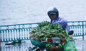Mùa đông năm nay đến muộn, ít có rét đậm rét hại