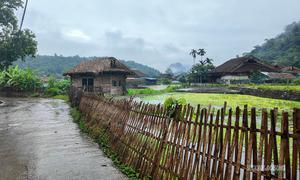 Thôn Tha - nơi người Tày biến bản sắc thành sinh kế