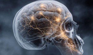 Phát hiện cơ quan mới ẩn trong hộp sọ có khả năng phòng ngừa ung thư não