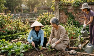 Vượt qua ‘cơn bão cảm xúc’ ở tuổi trung niên