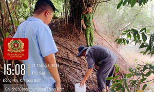 Phát hiện trang trại nuôi lợn xả nước thải ra suối