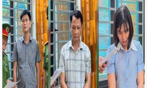 Khởi tố 3 cựu cán bộ xã cho thuê đất bãi bồi trái thẩm quyền