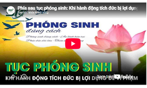 Phía sau tục phóng sinh: Khi hành động tích đức bị lợi dụng làm 'vỏ bọc' cho vi phạm