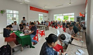 Hơn 4,4 tỷ đồng hỗ trợ người dân bị thiệt hại do dịch tả lợn châu Phi