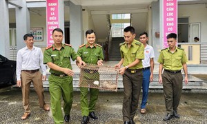 Đưa các loài động vật nguy cấp, quý hiếm trở về rừng sâu