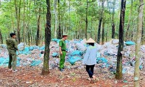 Chủ cơ sở nhựa đem gần 8,5 tấn chất thải đổ vào rừng cao su