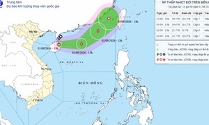 21 tỉnh thành ứng phó với áp thấp nhiệt đới sắp mạnh lên thành bão