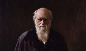 Một dự đoán của Charles Darwin vừa được khoa học xác minh sau hơn 150 năm