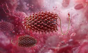 Ấn Độ: Ít nhất 22 trẻ em bị tử vong do virus Chandipura
