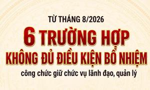 Từ tháng 8/2026: 6 trường hợp công chức không đủ điều kiện bổ nhiệm