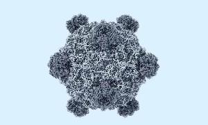 Mỹ tạo 16 loại virus chưa từng có ngoài tự nhiên bằng AI