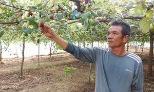 Nhiều người dân phản ánh nguồn nước hồ Sông Biêu có màu xám đục, ảnh hưởng cây trồng, vật nuôi