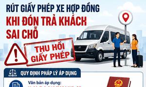 Từ 10/8, rút giấy phép xe hợp đồng khi đón trả khách sai chỗ
