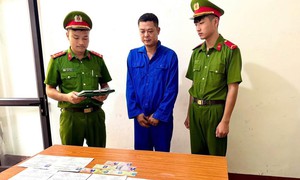 Mua bằng lái xe giả đi làm tài xế