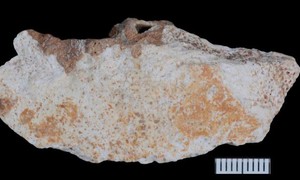 Hóa thạch Denisovan hé lộ cuộc sống bí ẩn của họ hàng loài người