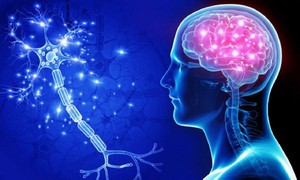 4 yếu tố nguy cơ gây bệnh Alzheimer