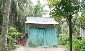 Sáng 16/9: Lời khai của nghi phạm bóp cổ, đâm vợ tử vong rồi trèo lên ngọn dừa lẩn trốn ở Cần Thơ