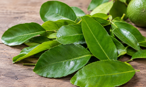 Lá chanh có tác dụng gì?