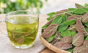 4 sai lầm khi sử dụng lá mơ lông nhiều người mắc phải